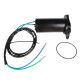 Power Trim Motor for MERCURY/MARINER LATE MODEL 25-50 HP O/B 1-RAM SYSTEM 2-WIRE MOTOR, REPLACES MERC #827675A1 - OE#: 827675A 1 - TRM0048 - PT498NM - API Marine